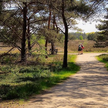 Luxe Woodlodge In Een Prachtige En Bosrijke Omgeving Bornerbroek Zewnętrze zdjęcie