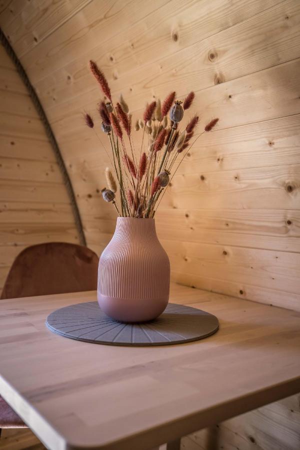 Luxe Woodlodge In Een Prachtige En Bosrijke Omgeving Bornerbroek Zewnętrze zdjęcie